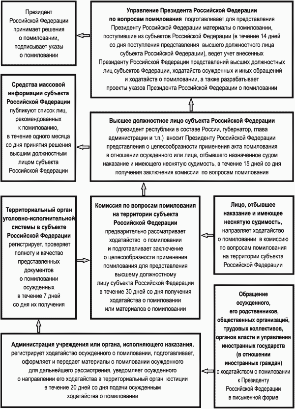 Амнистия и помилование схема