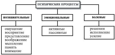 Чем характеризуются психические процессы. Психические процессы (Познавательные, эмоционально-волевые).. Психические процессы когнитивные эмоциональные волевые. Психические процессы схема. Классификация познавательных психических процессов.