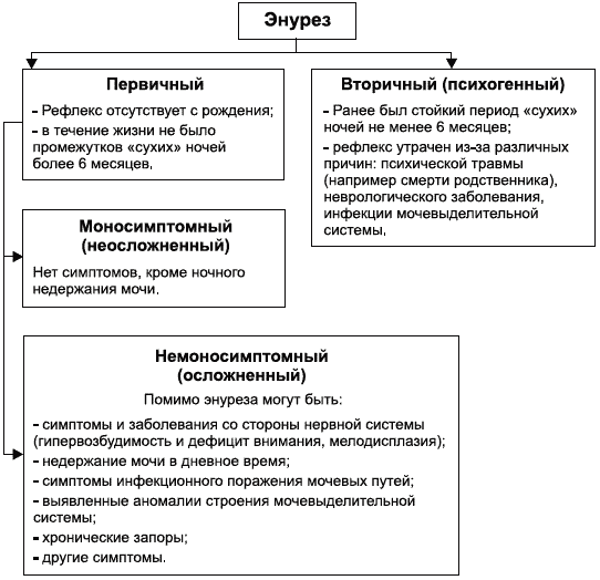 Энурез у детей презентация