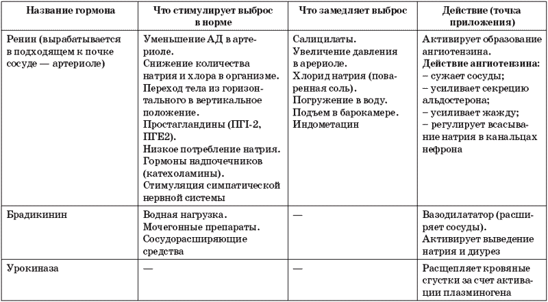 Гормоны почек презентация