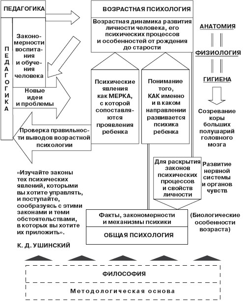 Педагогическая психология в таблицах и схемах