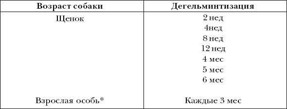 Глистогонка для щенков схема