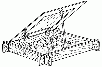 Как рисовать парник