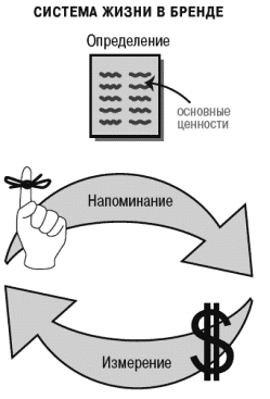 Система жизни. Система Грегга. Люшени система.