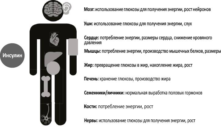 Скрытая причина 5 букв