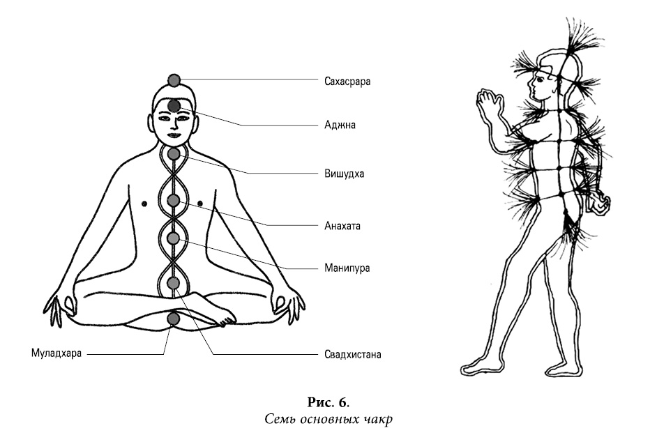 Чакра определить. Чакры человека 5 чакра. Пятая чакра Анахата. Чакры человека раскраска. Чакры на теле человека схема.