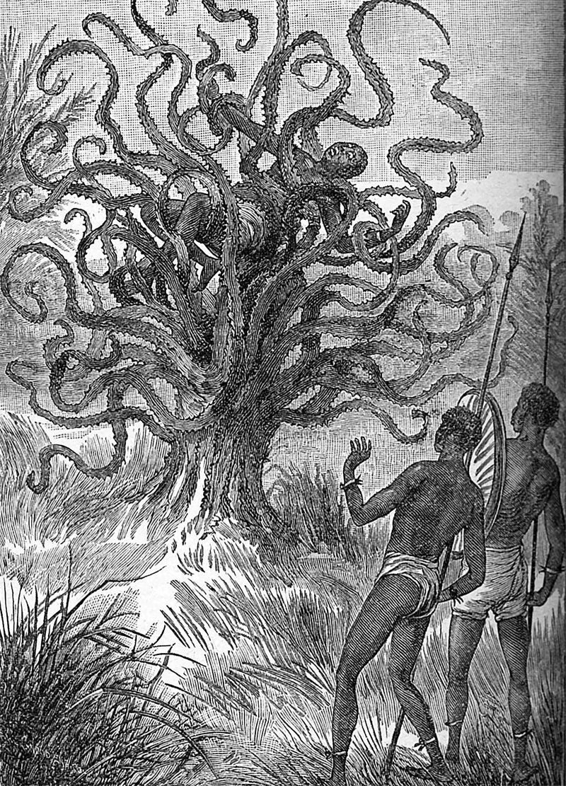 Дерево людоед с темного. Мифология дерево людоед. Я те ВЕО дерево людоед. Дерево людоед Мадагаскар.