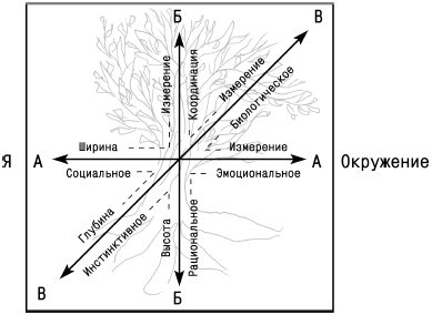 Расположение рисунка на листе бумаги