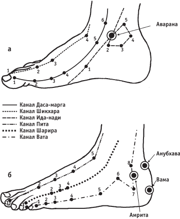 Меридианы на ногах человека схема