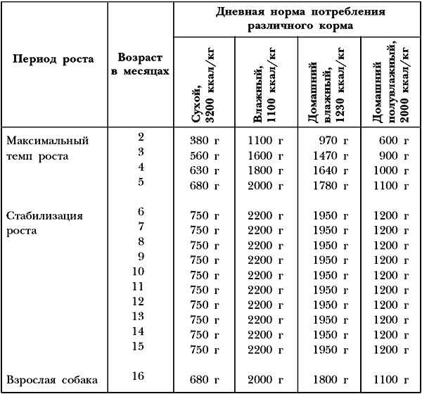 Сколько раз кормить щенка. Норма сухого корма для щенка немецкой овчарки 2 месяца. Норма кормления немецкой овчарки в 2 месяца. Таблица кормления щенка немецкой овчарки. График кормления немецкой овчарки.