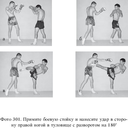 Удары в кикбоксинге названия и картинки