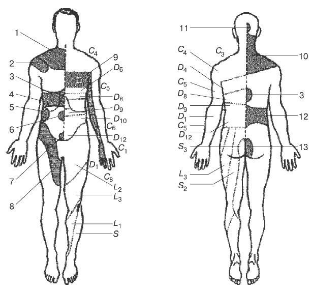 3 зона тела. Рефлекторные зоны Захарьина-Геда схема. Зоны гиперчувствительности Захарьина-Геда. Проекционные зоны Захарьина-Геда схема. Расположение зон Захарьина Геда.