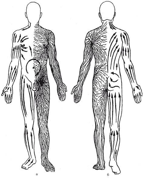 Движение лимфы в организме человека схема массаж