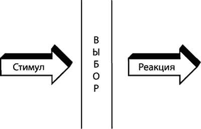 Картинка стимул реакция