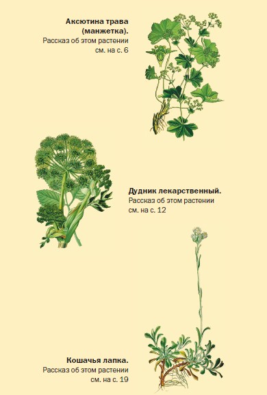 Климова ольга домашний доктор рассказы о травах лечение травами
