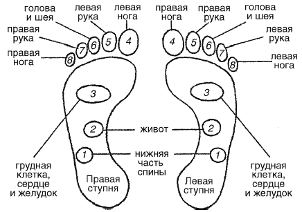 Болевые точки на ногах. Акупунктура левой стопы. Болевые точки на стопах ног. Акупунктура правой ноги. Биологически активные точки на стопе.