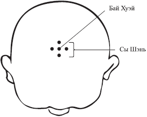 Точка бай. Точка на макушке головы бай Хуэй. Точка vg20 бай-Хуэй. VG 20 бай Хуэй. Vg20 точка акупунктуры.