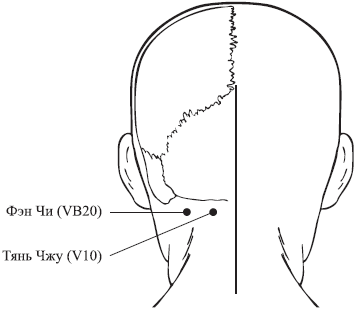 Точка 20. Тянь Чжу. «Тянь-Чжу v 10». Тянь-Чжу точка акупунктуры. Точка vb20 - фэн-чи.