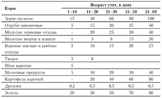 Утром ставила корм утятам