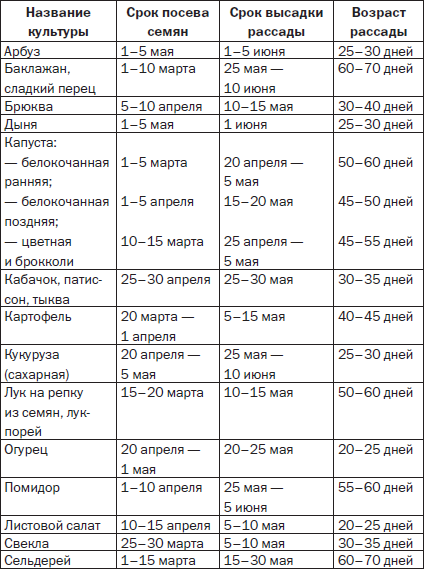 Возраста рассады овощных культур