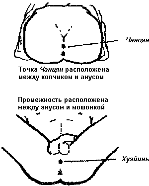 Инфекции передающиеся половым путем