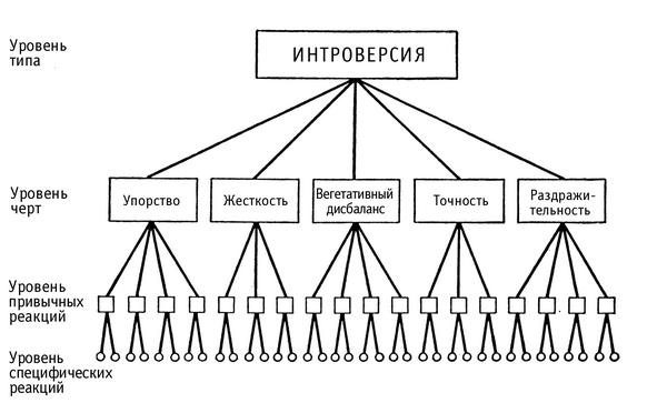 Укажите уровни уровневой классификации черт согласно г олпорту схема 1 уровень