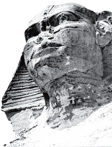 Разрушили голову. Призрак древнего египетского. Разрушенная голова статуи буды последи лагуны. Разрушенная голова целистнала в квм.