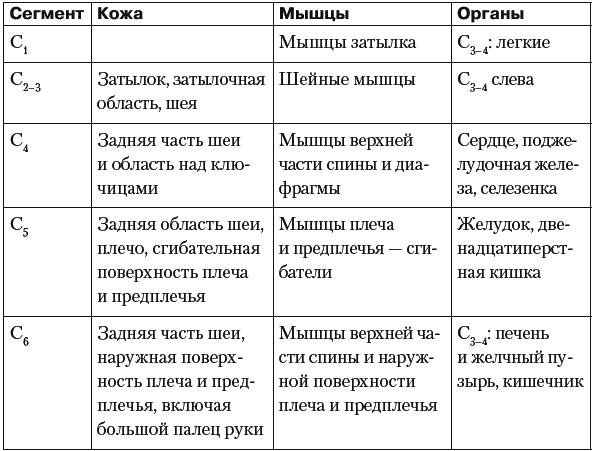 Таблица иннервации мышц. Сегментарная иннервация таблица. Иннервация органов таблица. Сегментарная иннервация внутренних органов таблица. Иннервация внутренних органов таблица анатомия.