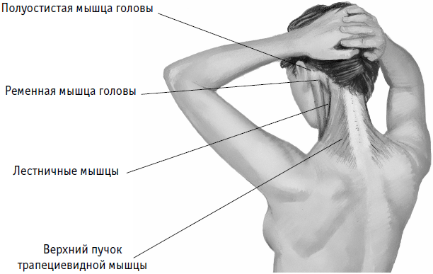 Боль при подъеме головы. Болит затылок. Болит затылок головы.