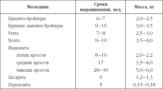 Сроки растут. Периоды выращивания молодняка. Сроки вывода молодняка разных видов сельскохозяйственной птицы. Сроки и фазы выращивания молодняка птицы. Живая масса сельскохозяйственных птиц.