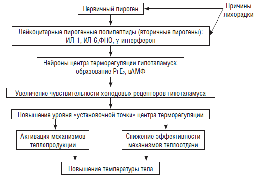 Схема патогенеза лихорадки