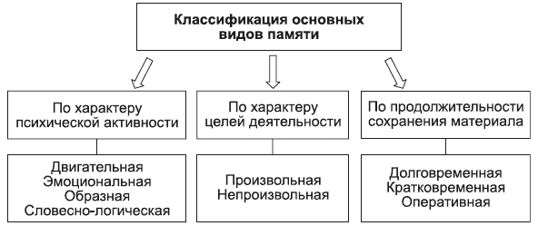 Виды памяти схема в психологии