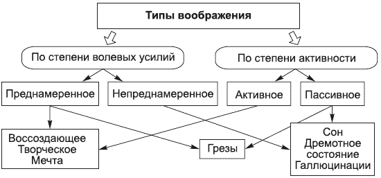 Виды воображения в психологии. Виды воображения в психологии таблица. Виды воображения схема. Свойства воображения в психологии по маклакову. Воображение в психологии схема.