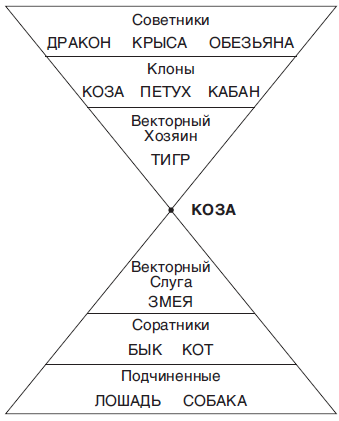 Карта жизни кваша