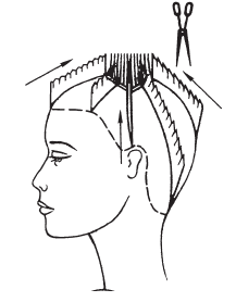 Радиальный пробор в стрижке схема