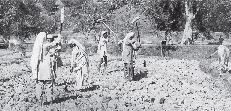 Община индии. Крестьяне в Индии 19 век. Сельское хозяйство в Индии в 19 веке. Сельское хозяйство Индии 18 век. Сельское хозяйство в Индии в 18 веке.