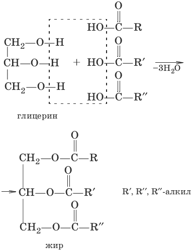Гидролиз сложных жиров. Олеиновый триглицерид формула. Глицерин триглицерид стеариновой кислоты. Триглицерид получение. Гидролиз олеиновой кислоты.