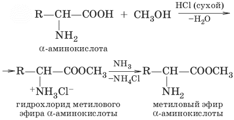 Аминокислоты образуют сложные эфиры