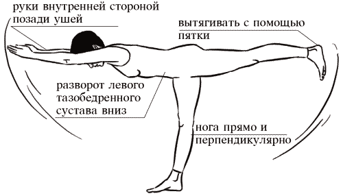 Равновесие на левой. Упражнение Ласточка техника выполнения. Упражнение Ласточка для детей. Упражнение Ласточка техника выполнения для детей. Упражнение Ласточка стоя.