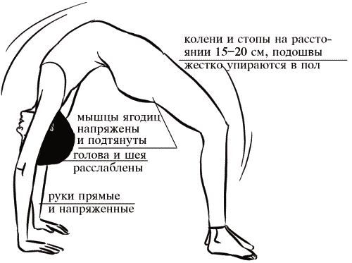 Положение мостик. Мостик упражнение схема. Мостик схема гимнастика. Рисунок мостик из положения стоя. Мост из положения лежа рисунок.