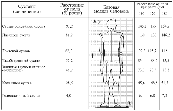 Вес части. Центр масс тела в биомеханике. Распределение массы тела в теле человека. Параметры человека. Физиологические параметры человека.