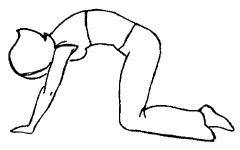 (3/4-1/6)*3. выполните упражнение 8 12. (3 1/14-2 5/7)*(7-6 3/5). упражнение на восстановление дыхания после физической нагрузки. 20 6 3/14+1 11/14 столбиком.