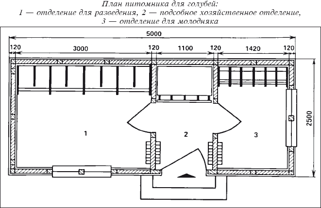 План схема питомника для собак