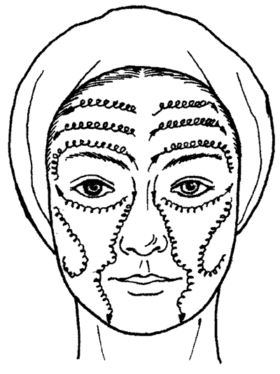 Линии лангера на лице и шее схема