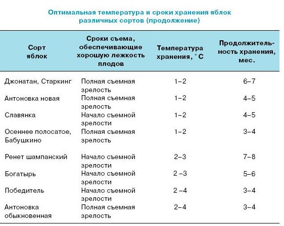 Влажность в овощном складе