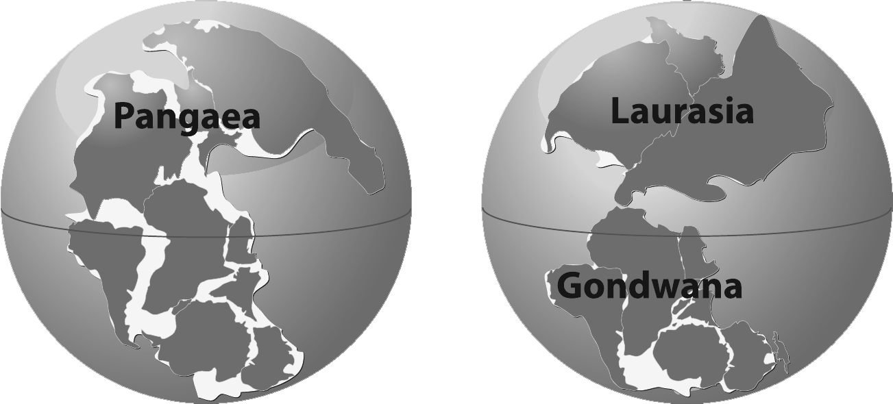 Continent 100. Лавразия и Гондвана карта. Раскол Пангеи на Лавразию и Гондвану. Пангея Гондвана Лавразия. Пангея Лавразия Гондвана Панталасса Тетис.