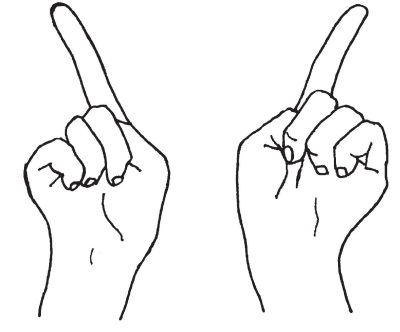 Мудра большой и безымянный палец. Мудра указательный и средний палец вверх. Мудра указательный и средний палец вверх. Указательный и средний палец вверх. Мудра жизни.