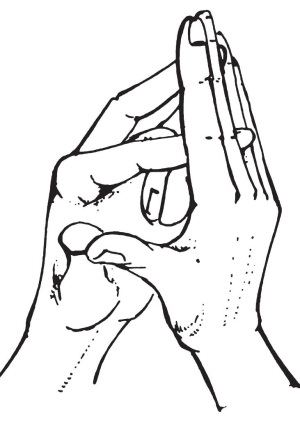 Нади шодхана 1-4-2-1. Вишну мудра пранаяма. Мудра для нади шодхана. Йони мудра. Дыхание нади шодхана техника.