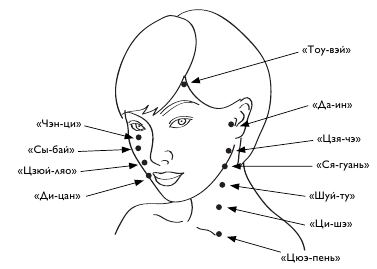 Карта триггерных точек на лице от людмилы шубиной