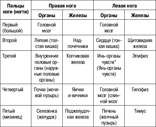 Психосоматика средний палец правой руки. Ногти за какой орган отвечают. Диагностика по ногтям. Какой ноготь отвечает за какой орган. Ногти отвечающие за органы.